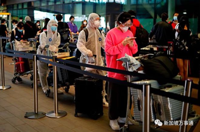 新加坡回国最新动态,巷弄深处的独特风味与最新消息揭秘