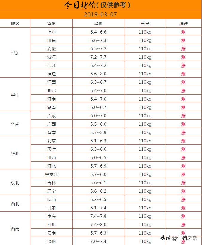 山东省生猪最新价格概览,温情与欢笑中的猪事记