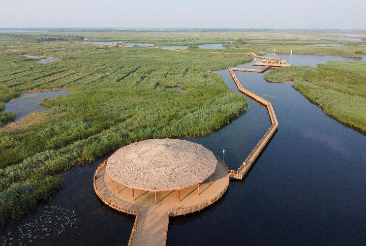 白洋淀最新动态更新