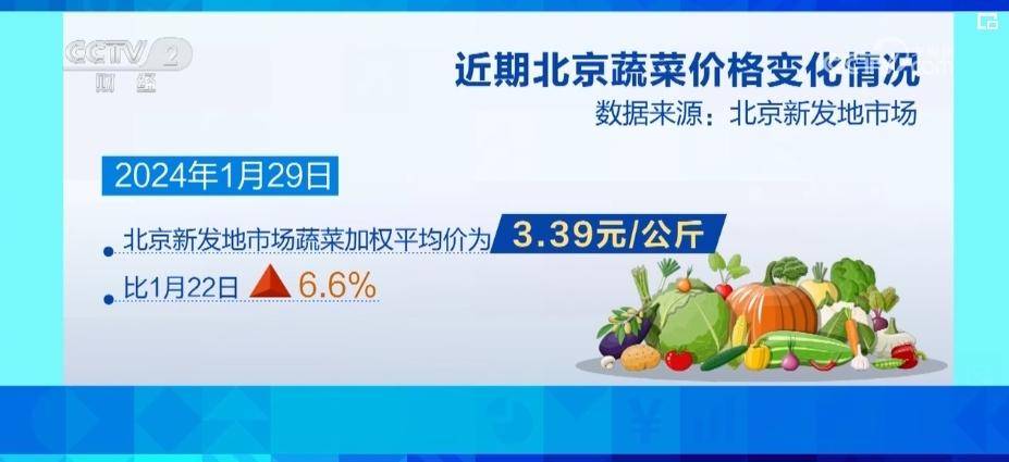 北京新发地蔬菜最新价格及小巷深处的蔬菜秘境探索揭秘