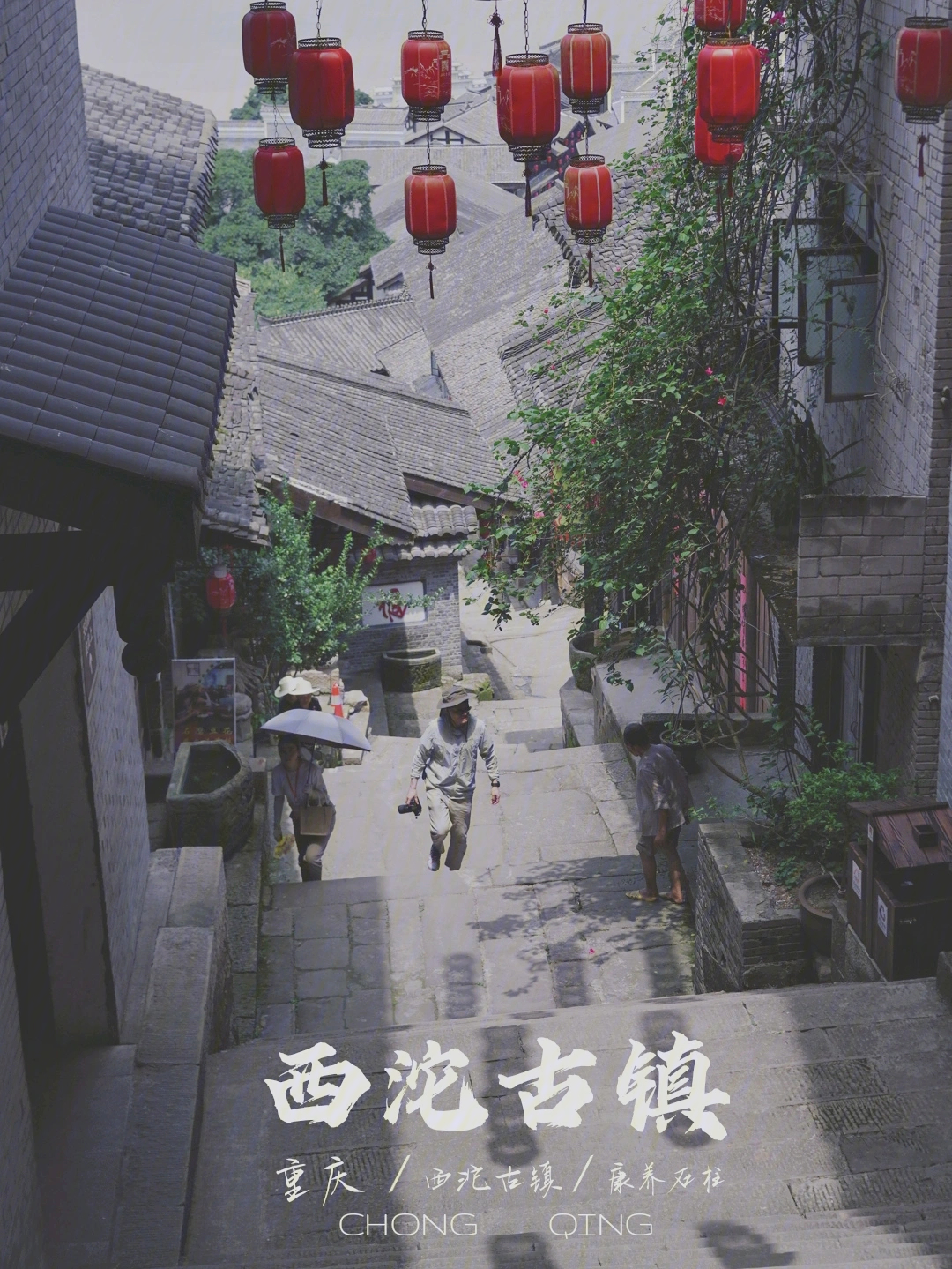 西沱,最新发展与变革脉搏揭秘