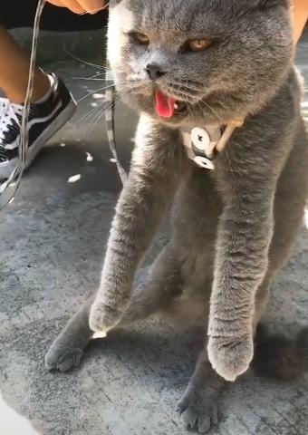 探索未知世界的神秘角落,最新地址快猫🐱