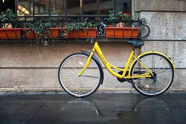 沈阳共享单车最新事件全解析,步骤指南与应对建议